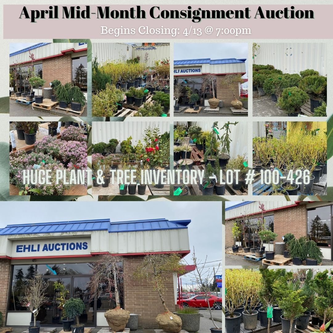 March Month End Consignment Auction (1080 × 1080 px)